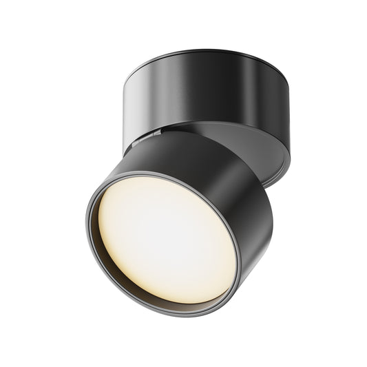 Ceiling luminaire C024CL-L12B3K