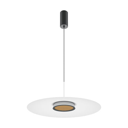 Ripatslamp MOD041PL-L15W3K1