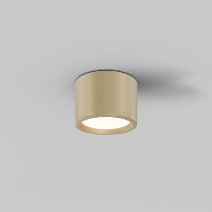 Ceiling luminaire C090CL-10W3K-MG