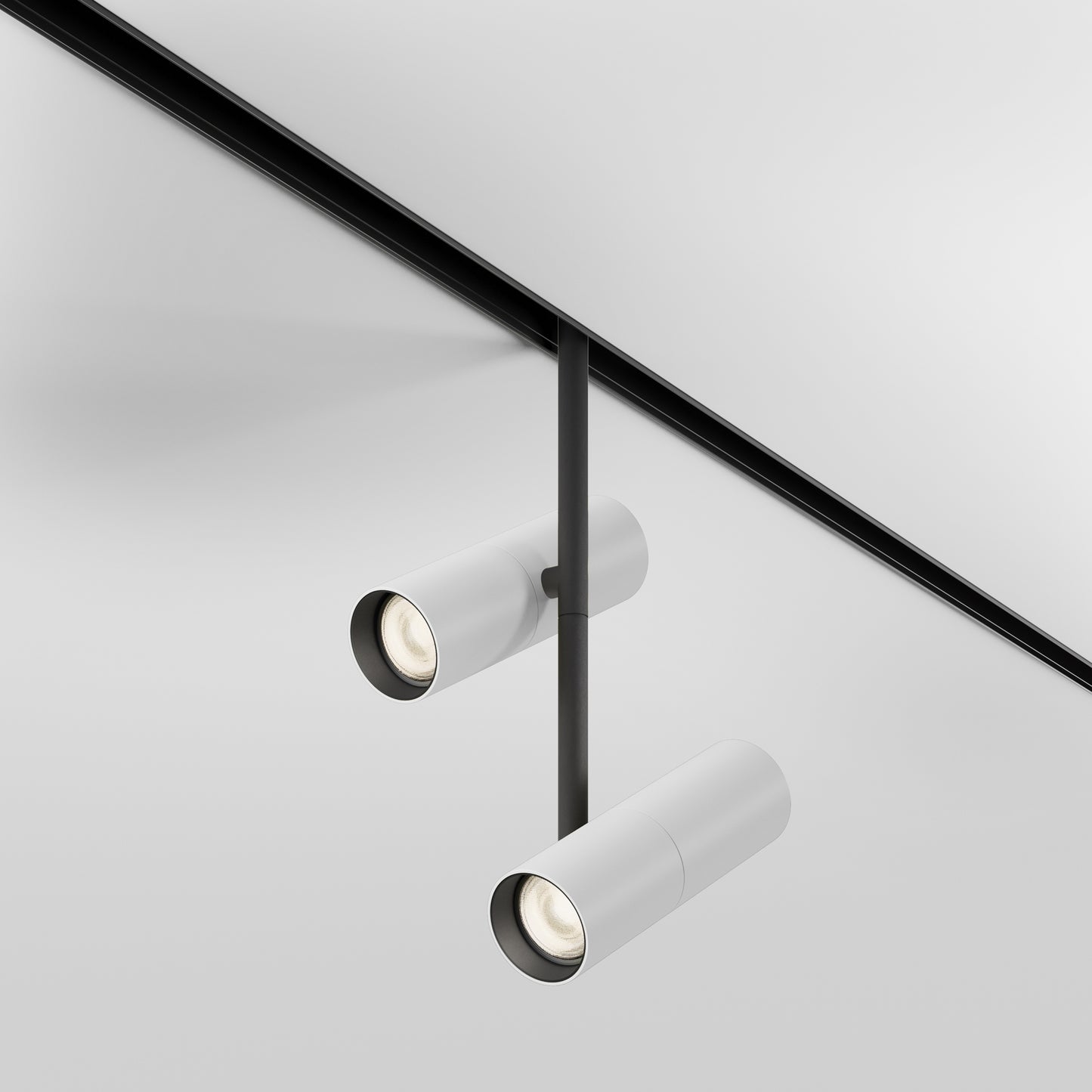 Track luminaire TR005-2-2X12W3K-BW