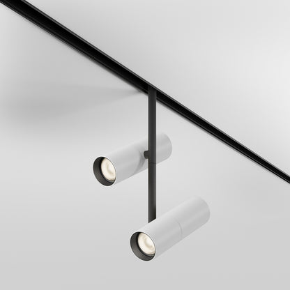 Track luminaire TR005-2-2X12W3K-BW