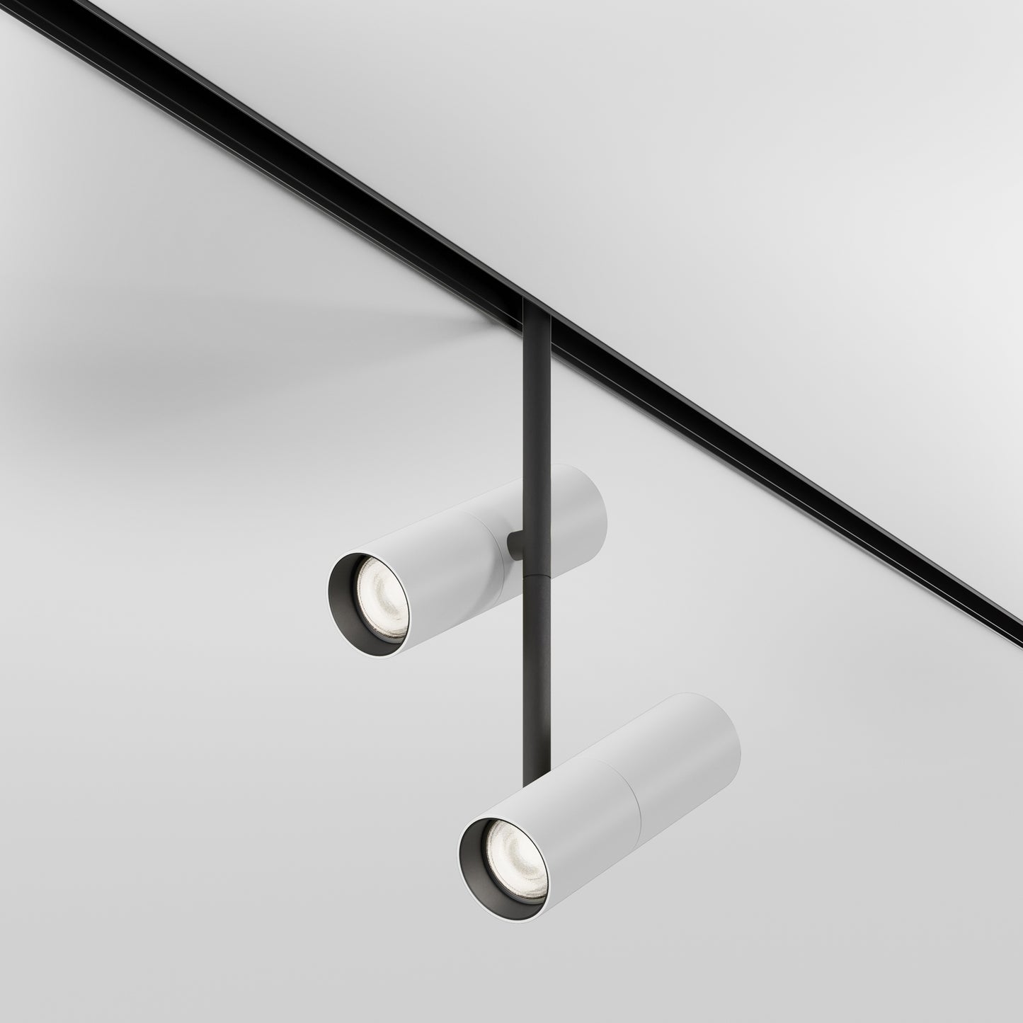 Track luminaire TR005-4-2X12W-DS-BW