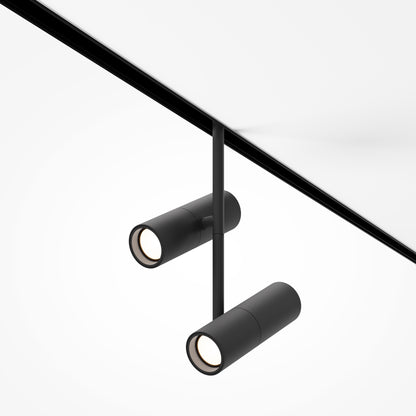 Track luminaire TR005-4-2X12W-DS-B