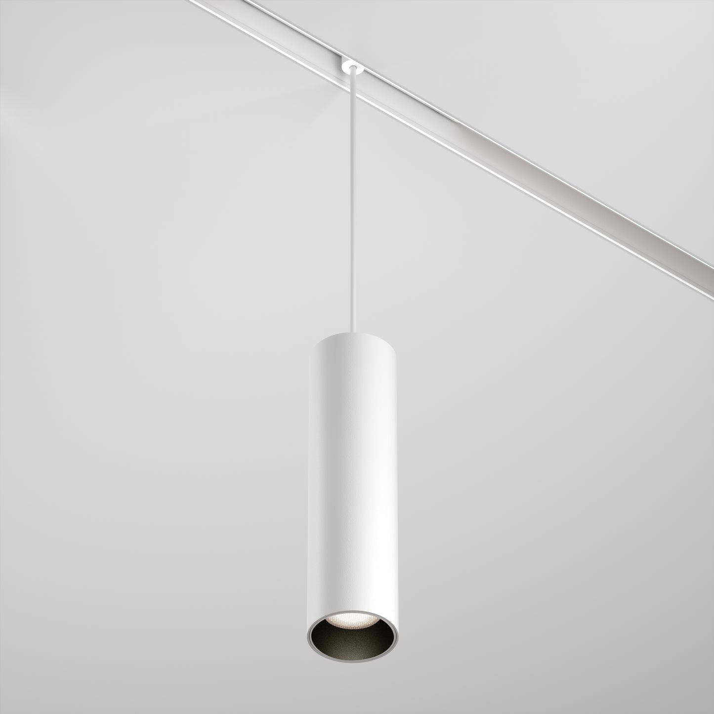 Pendant track luminaire TR041-2-12W4K-W