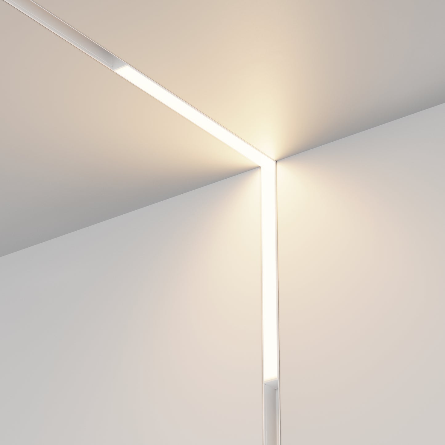 Track luminaire TR102-24W-DS-W