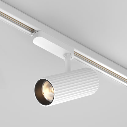 Track luminaire TR250-30W3K-W