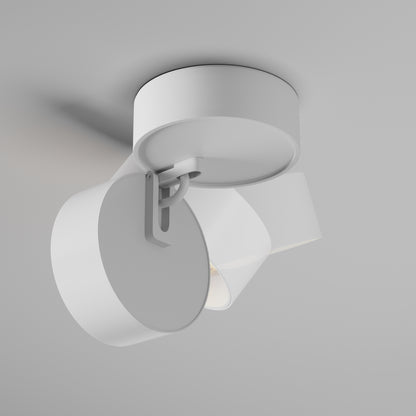 Ceiling luminaire C220CL-12W3K-W