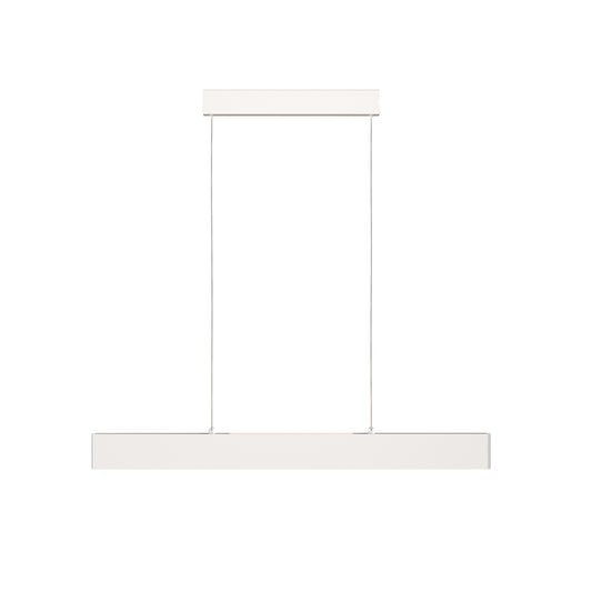 Ripatsvalgusti P010PL-L23W