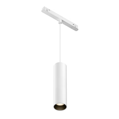 Pendant track luminaire TR041-2-12W3K-W