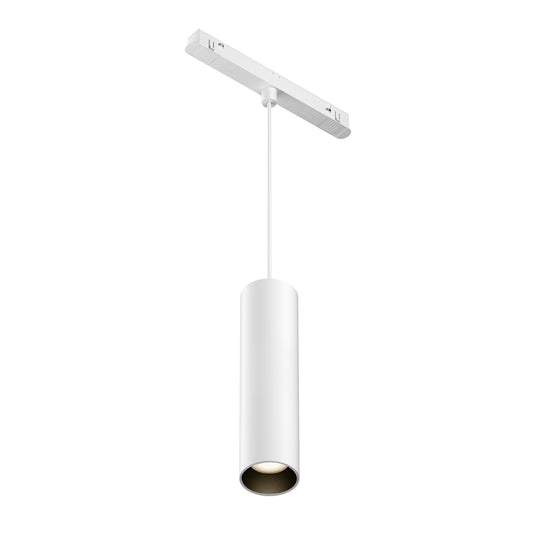 Pendant track luminaire TR041-2-12W3K-W