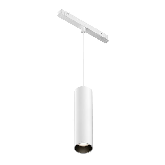 Pendant track luminaire TR041-2-12W4K-W