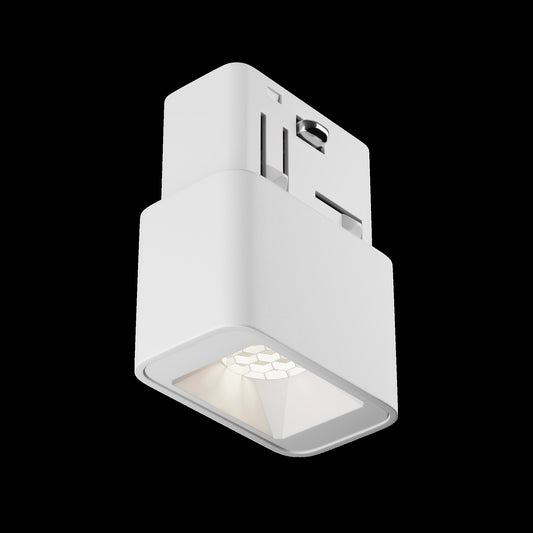 Siinivalgusti TR100-2-2W4K-S-W
