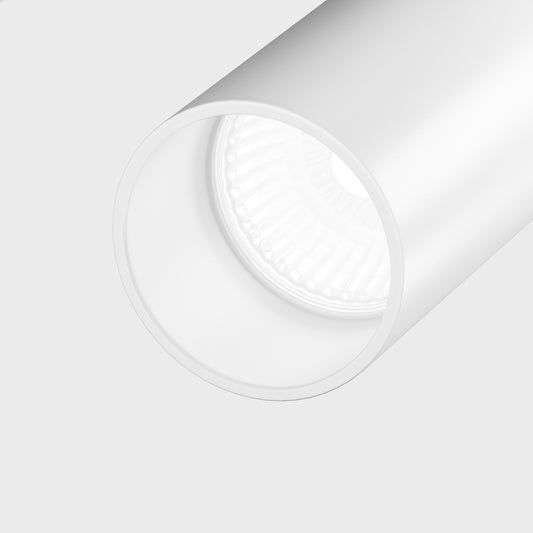 Ceiling luminaire C021CL-02W