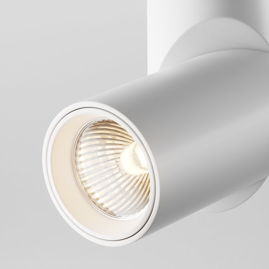 Ceiling luminaire C027CL-L10W