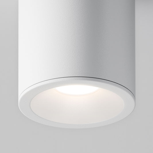 Ceiling luminaire C029CL-01W