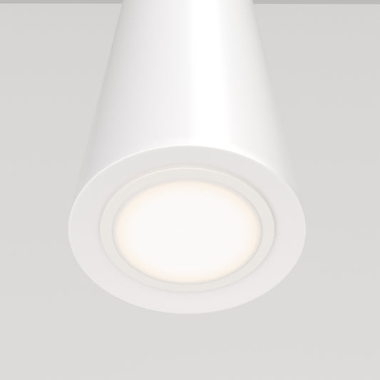 Pendant luminaire P318-PL-01-W