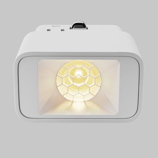 Track luminaire TR100-2-2W3K-S-W