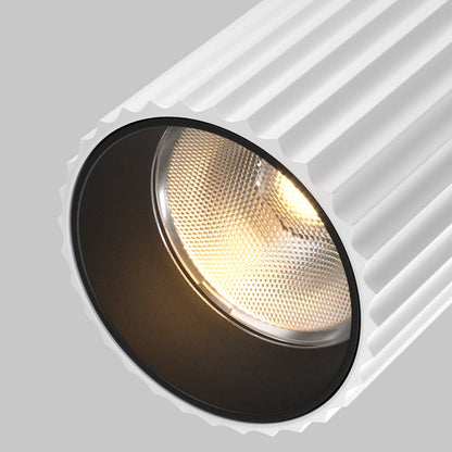 Track luminaire TR250-30W3K-W