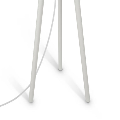 Floor Lamp Z177FL-01W