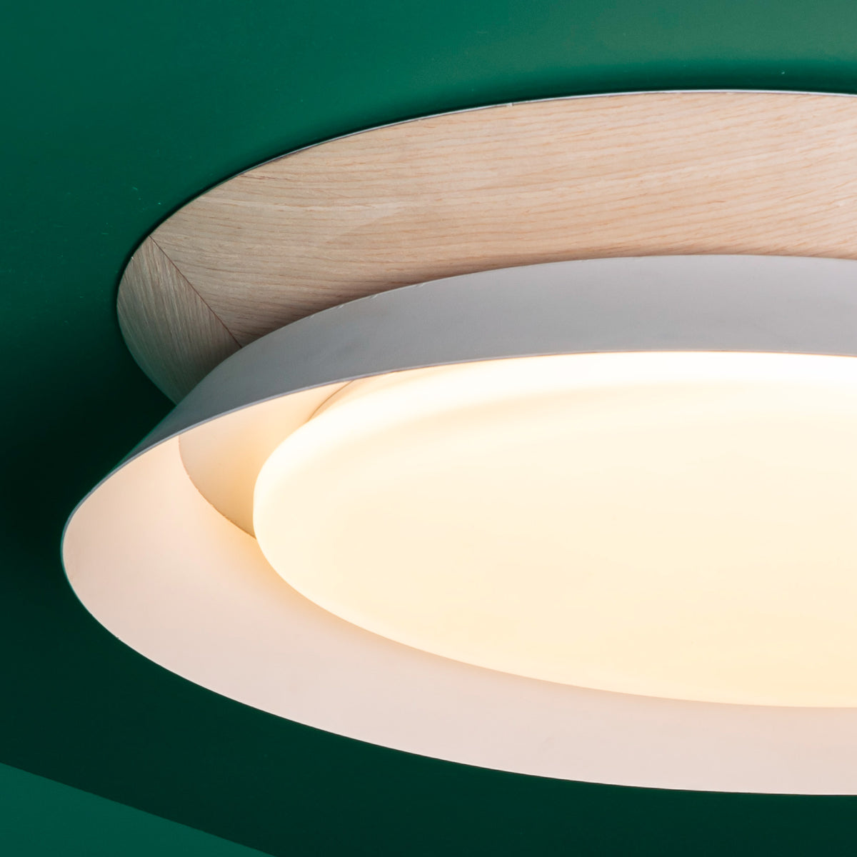 Detail view of Tender LED ceiling light with wooden rim on green background
